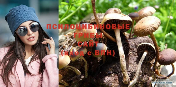 бутират Бугульма