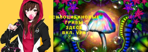 бутират Бугульма